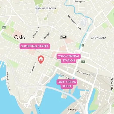 Dinbnb I 500m To Station I Roof Terrace * Осло